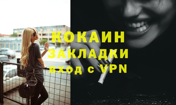 хмурый Верея
