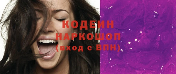 хмурый Верея