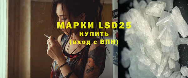 хмурый Верея