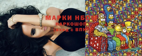 хмурый Верея