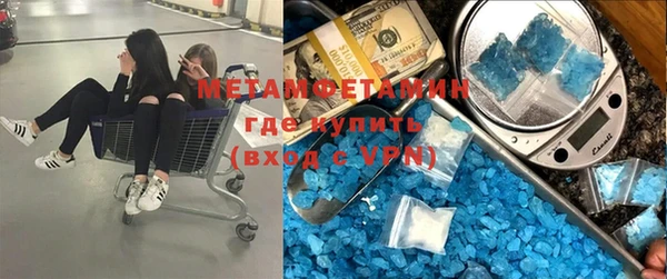 хмурый Верея