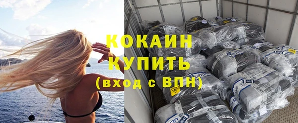хмурый Верея