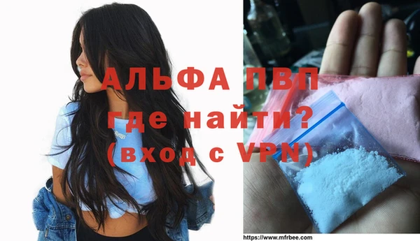 хмурый Верея