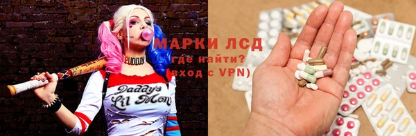 хмурый Верея