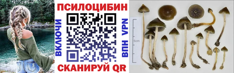 Галлюциногенные грибы ЛСД  мега рабочий сайт  Мончегорск 